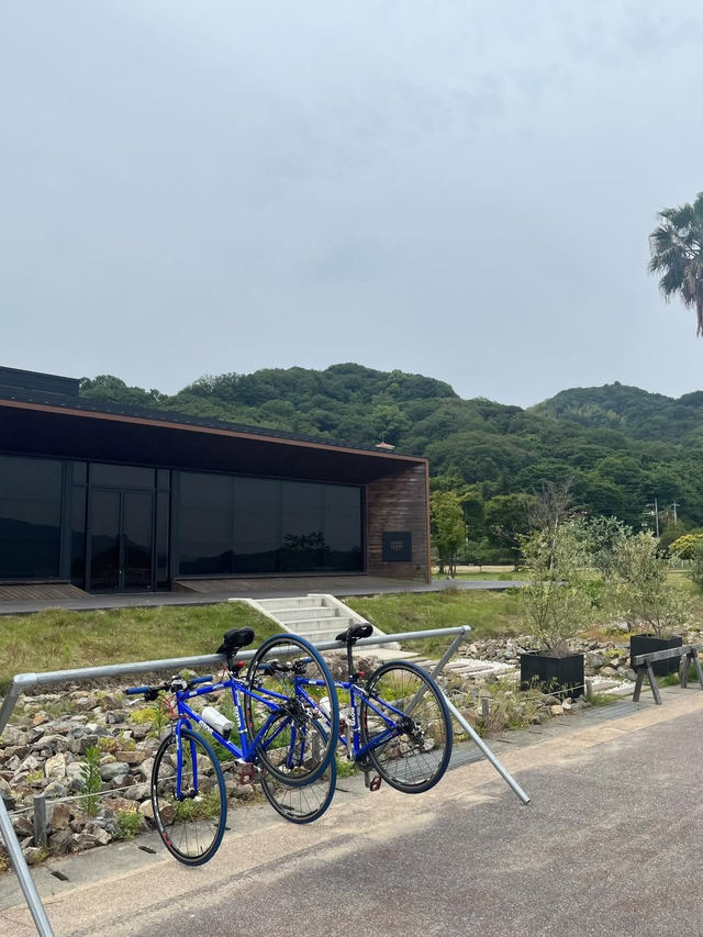 【しまなみ海道】海と島をつなぐ絶景サイクリングロード🌊🚴‍♀️