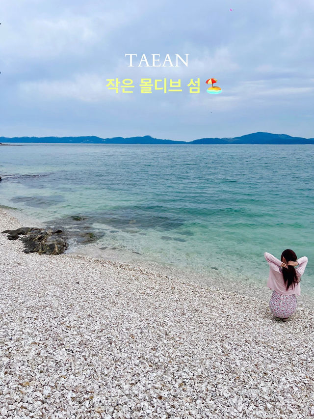 바다 끝의 쉼, 민어도에서의 고요한 하루~🏖️