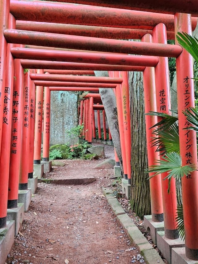 〔金澤稻荷神社〕 石浦神社旁的千本小鳥居 ⛩️