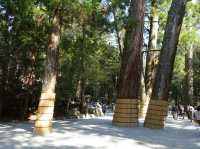⛩️ Sacred Stillness in Ise – A Soulful Walk Through Kotai Jingu