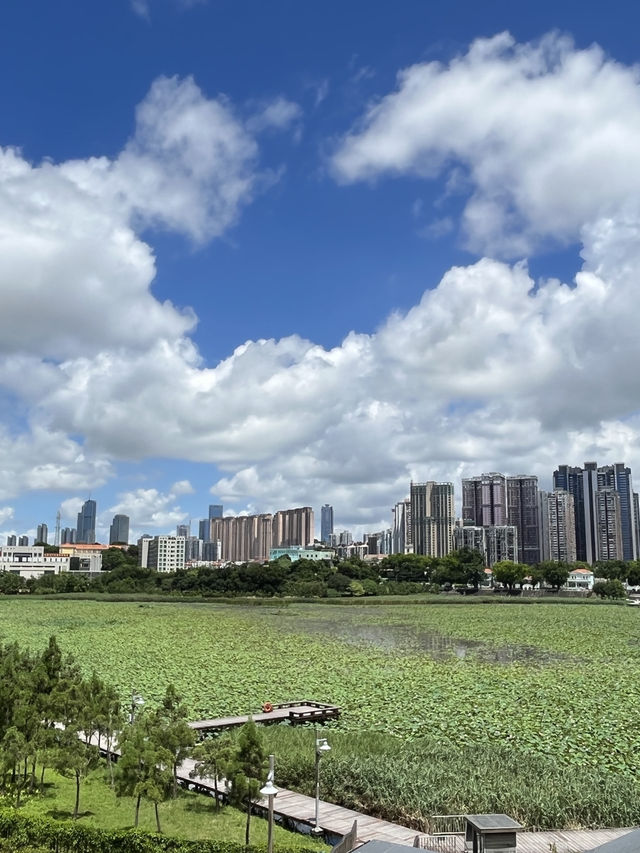 🌟澳門隱世打卡位推薦｜住進歐洲夢，吃在地風味，巴黎人打卡超美