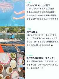 【こんなに近くに？👀】セブ島の大迫力ツアー🦈✨
