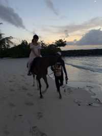 馬爾地夫🇲🇻海邊騎馬初體驗