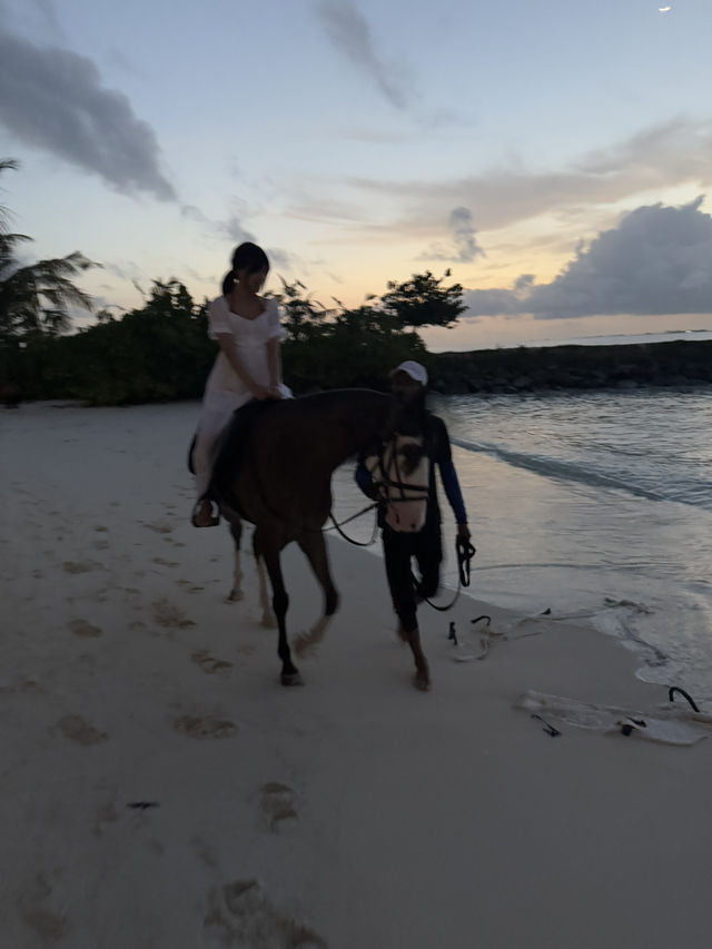 馬爾地夫🇲🇻海邊騎馬初體驗