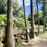 頂湖社區-草山瀑布-猴崁水圳步道-竹子湖歡樂行