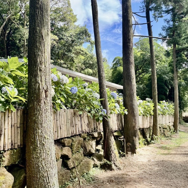 頂湖社區-草山瀑布-猴崁水圳步道-竹子湖歡樂行