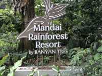 My Stay at Banyan Tree Mandai Rainforest Singapore: A Deep Dive into Nature 🇸🇬🌳