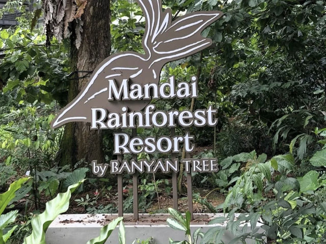 My Stay at Banyan Tree Mandai Rainforest Singapore: A Deep Dive into Nature 🇸🇬🌳