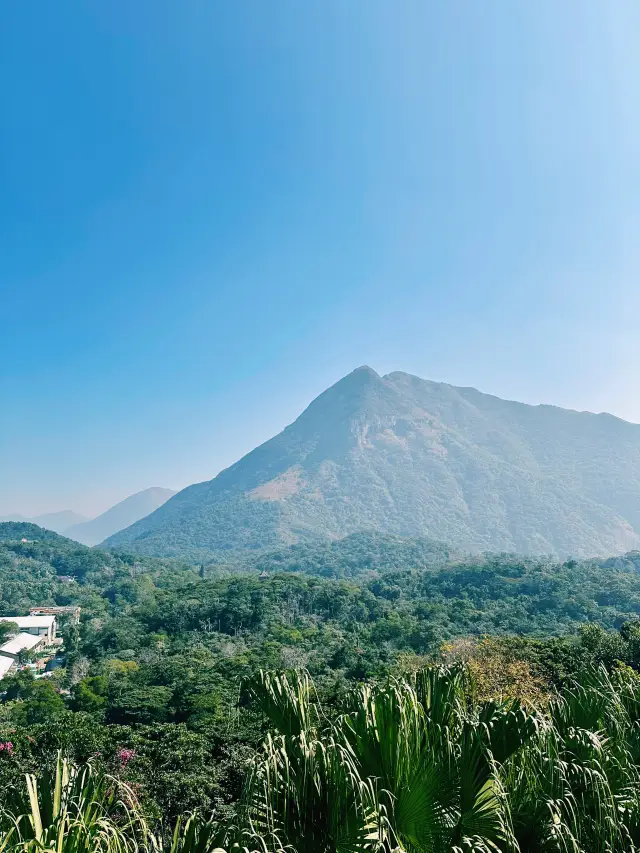 如果在香港有短暫停留，記得去這個地方！