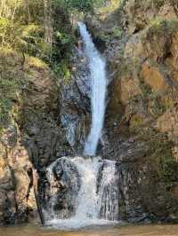 Jungle Trek & Waterfall Magic