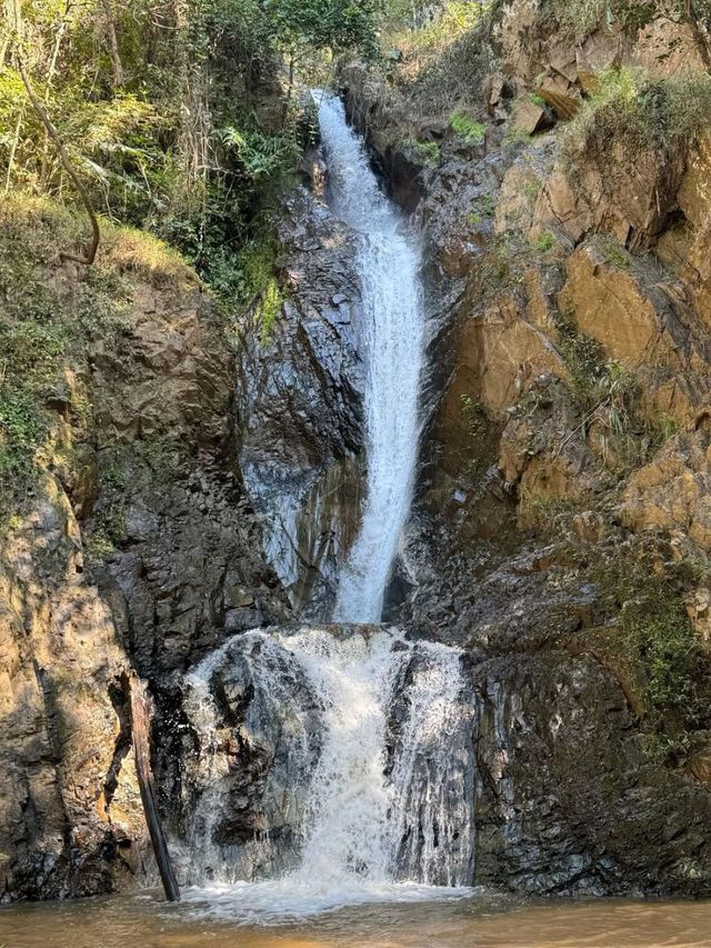 Jungle Trek & Waterfall Magic