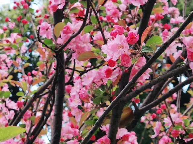 Captivating, Colourful and Full of Character.