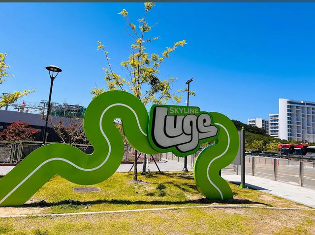 韓國🇰🇷 - 釜山 刺激好玩的斜坡滑車體驗 Luge 