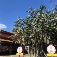 Po Lin Monastery HongKong