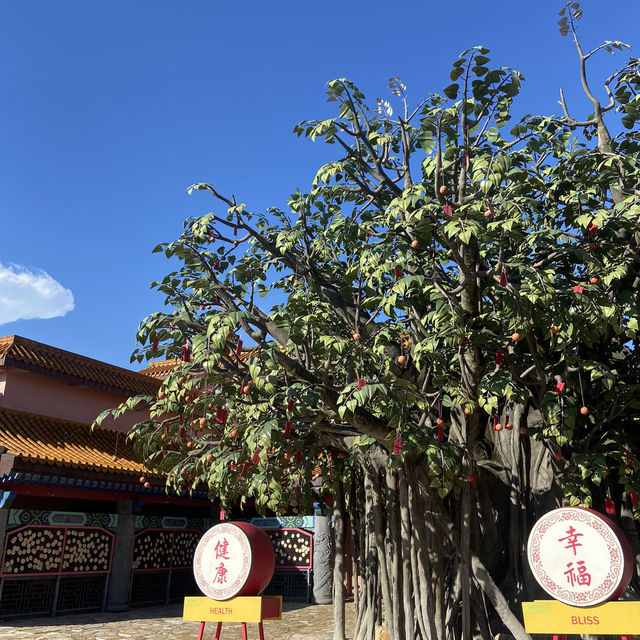 Po Lin Monastery HongKong