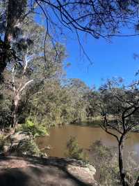 Lane Cove National Park – Sydney