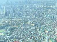✨ Touching the Sky at N Seoul Tower ✨