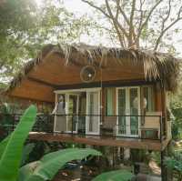 ที่พักแม่แตงเชียงใหม่