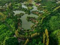 สัมผัสธรรมชาติอย่างใกล้ชิด 🌳 Borsaen Villa