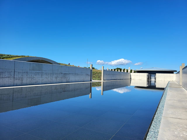 北海道真駒內靈園：薰衣草環繞的巨佛之境