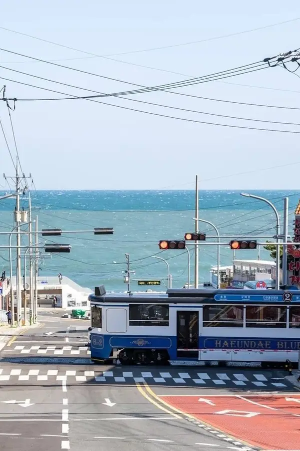Coastal calm on Busan’s Blue Line Park 🌊🚆