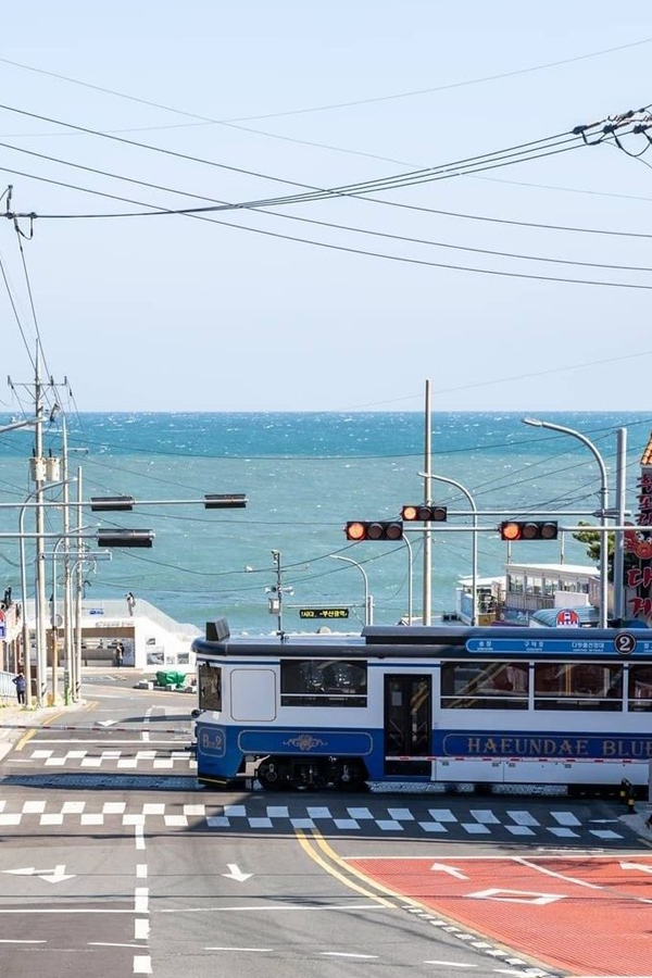Coastal calm on Busan’s Blue Line Park 🌊🚆