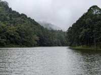 Journey to Pang Ung: Where Mountains Meet Misty Clouds