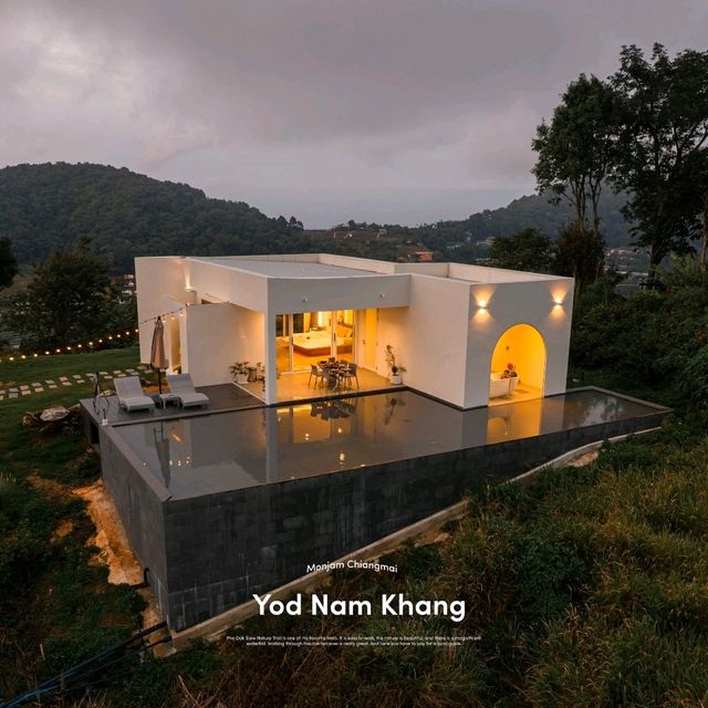ยอดน้ำค้าง ม่อนแจ่ม - Yod nam khang Mon Jam