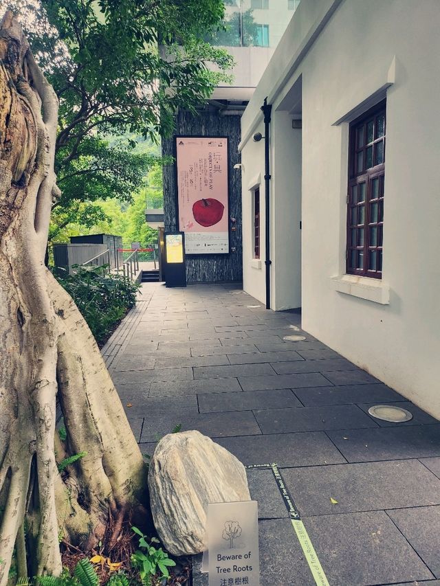 煩囂鬧市的後花園內的红蘋果