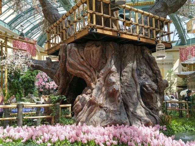 🌸 계절마다 테마가 바뀌는 실내 정원 – Bellagio Conservatory & Botanical Ga