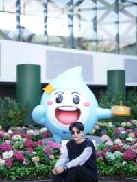 สวนดอกไม้เมืองหนาวระยอง