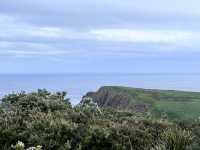 Bruny Island – เกาะเล็กๆ ที่เต็มไปด้วยความทรงจำ