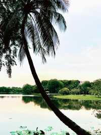 “Scenic Tranquil Escape at Cyberjaya Lakeside”