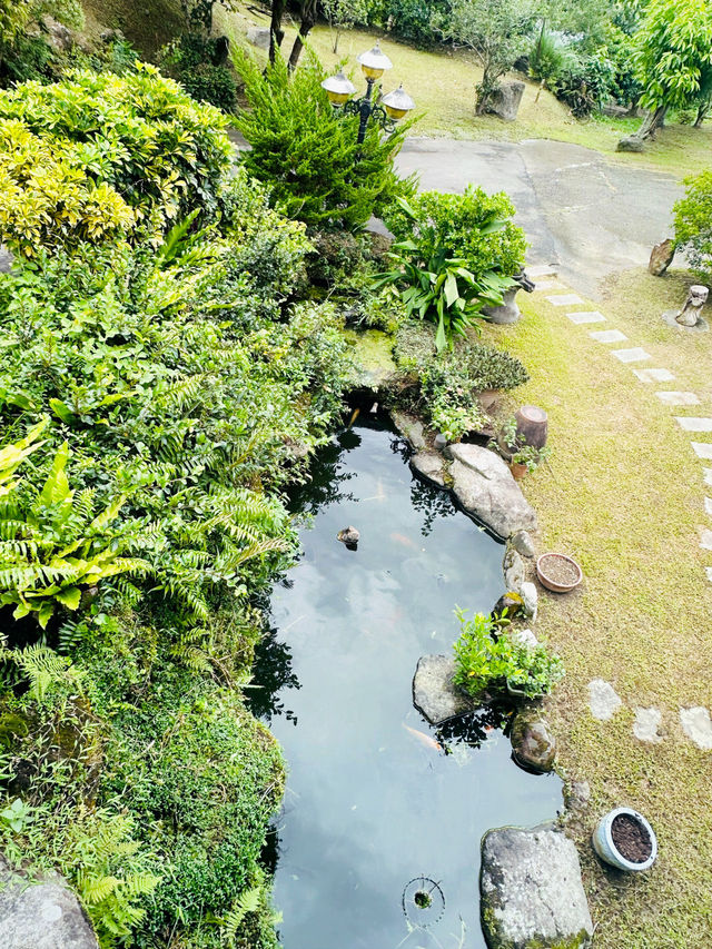 神秘又深山的美食餐廳