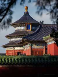 Temple Of Heaven: Where Blue Titles Filter Starlight And Cypresses Swallow Imperial Echoes