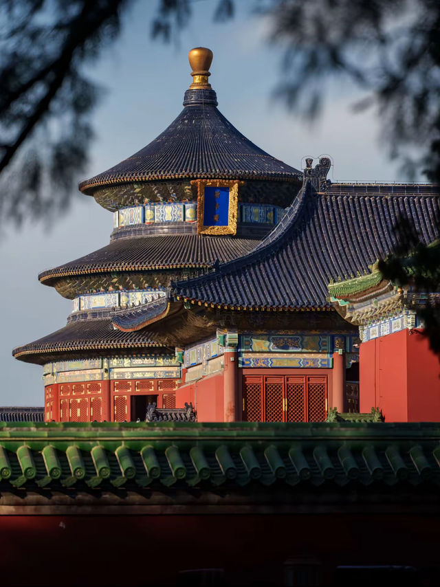 Temple Of Heaven: Where Blue Titles Filter Starlight And Cypresses Swallow Imperial Echoes