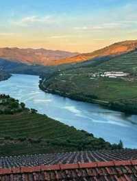 Quinta do Crasto, Douro Valley: Heritage, Hills, and Heavenly Wines 