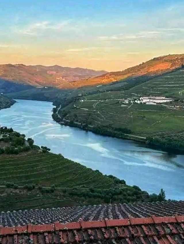 Quinta do Crasto, Douro Valley: Heritage, Hills, and Heavenly Wines 