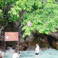 Monkey Beach  จ.กะบี่