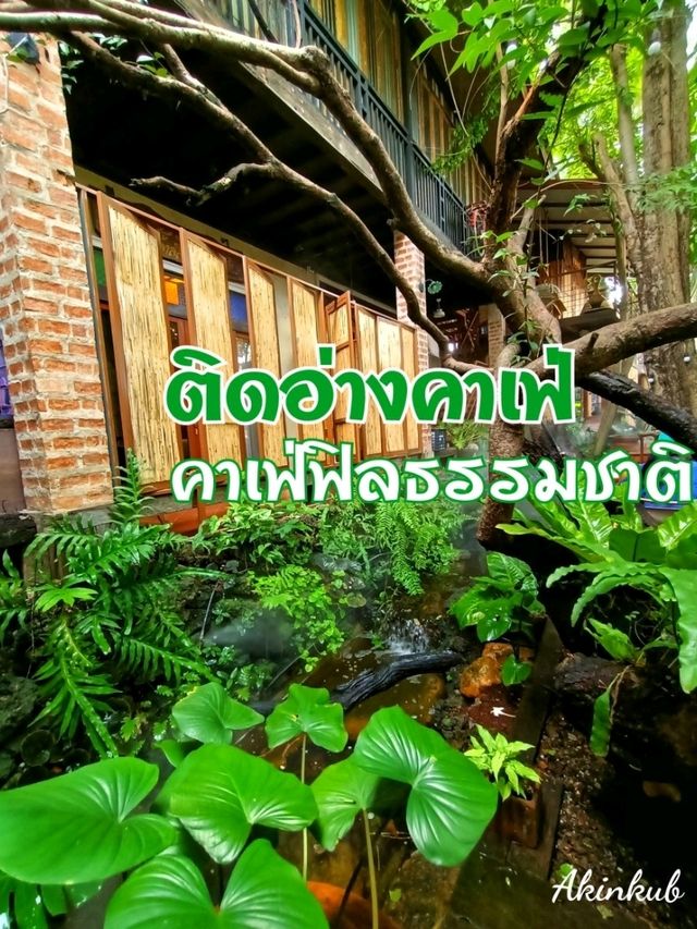 คาเฟ่ฟิลธรรมชาติย่านบางแสน