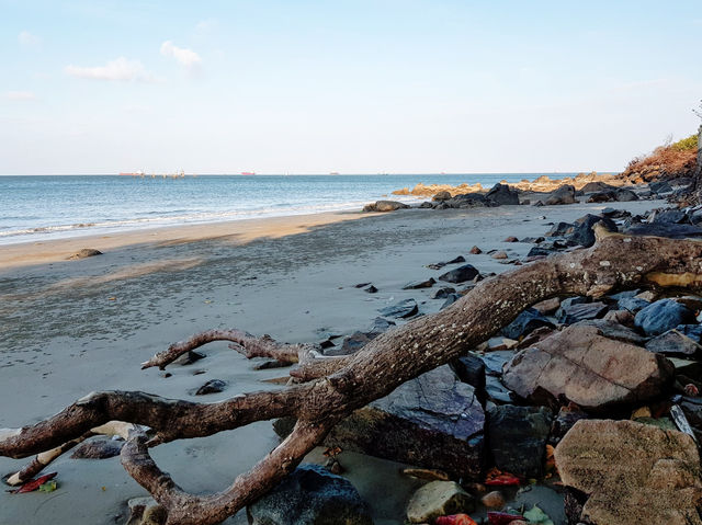 Itinerary for a meaningful 1-day trip to Vung Tau for you