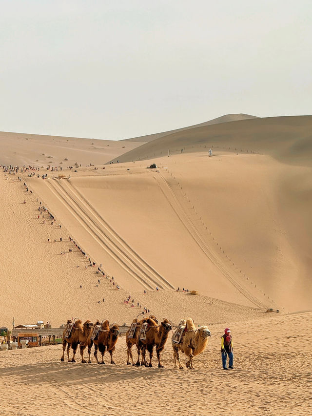 🏜️ Mingsha Mountain – Where the Sand Sings