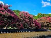 Daegu Park