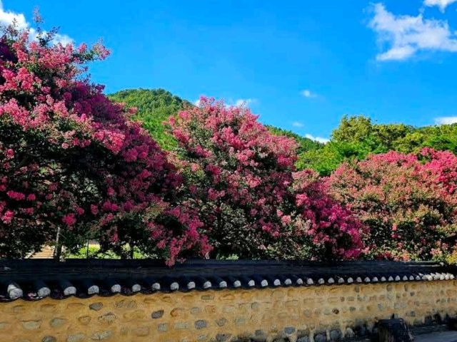 Daegu Park