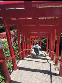 ⛩️元乃隅神社｜海へ続く123基の鳥居が織りなす絶景の神社