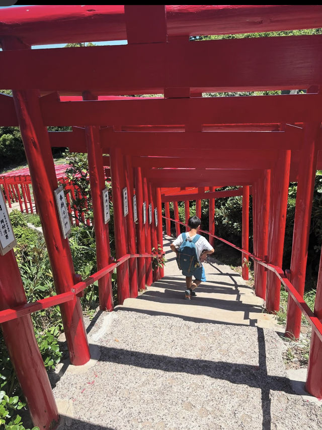 ⛩️元乃隅神社｜海へ続く123基の鳥居が織りなす絶景の神社
