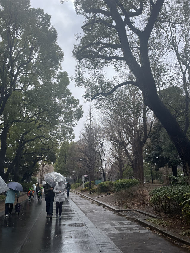 🇯🇵 Ueno Park