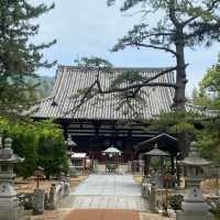 【香川旅】地獄の釜音が聞こえる!? 一宮寺で不思議な体験と心の浄化を