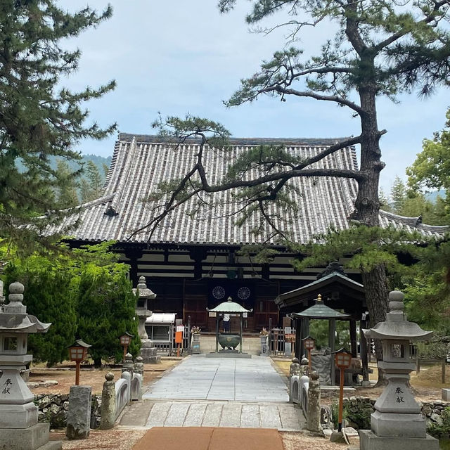 【香川旅】地獄の釜音が聞こえる!? 一宮寺で不思議な体験と心の浄化を