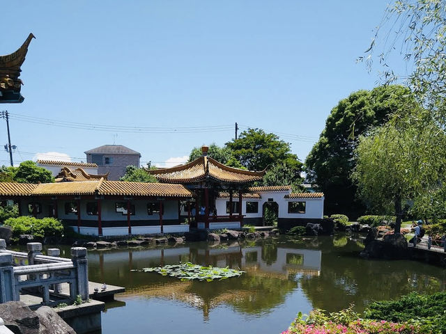 Spacious park with seasonal flowers and a peaceful pond,
